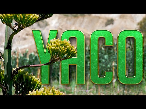YACO 85 AÑOS