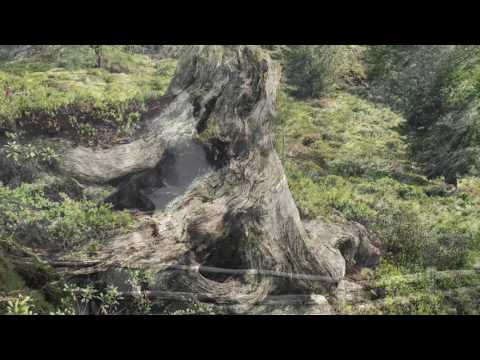 Plimaschlucht Martell 16.06.2017