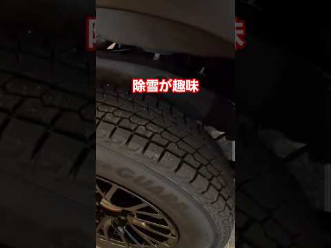 スタッドレス履いた理由が想像と違いすぎた件