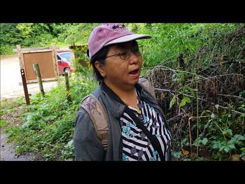 Zaj lus paub hais txog qoob zwm 9/12/2019