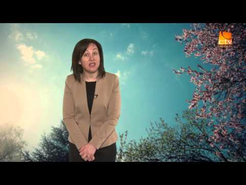 Rodica Baciu  -  Taine