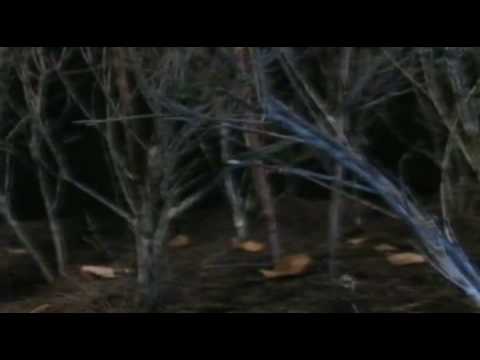 Reasons Are All I Have Left video