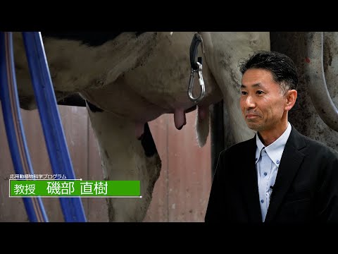 広島大学生物生産学部　教授に聞く　磯部 直樹 教授