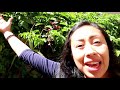 PASSION FRUIT VINE Avoid This Mistake Care And Tips I Made A Big Mistake ‍ ️
