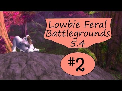 Lowbie Feral Druid Battleground 5.4 - Warsong Gulch - N00BFeral 2