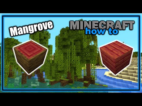 How to Find, Grow and Use the Mangrove Tree! (1.19+) | Easy Minecraft Tutorial