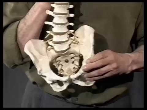 Harmonische Techniken _Teil 1 VTS 01 1