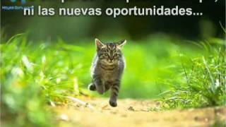 Feliz Año 2009 (Castellano) "Lonesome Highway" Rory Gallagher
