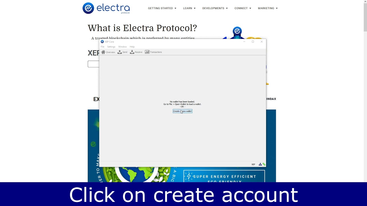 Initial setup of XEP Desktop Wallet