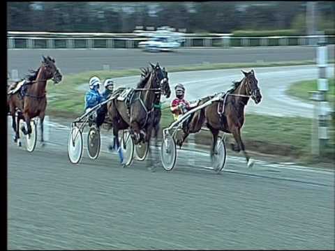 Trotto 05/03/2017 - 6ª corsa