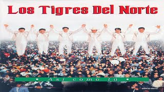 Los Tigres del Norte: Pájaro En Mano (Karaoke con segunda voz)