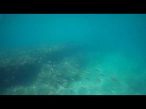 2020 0624 134623 012A