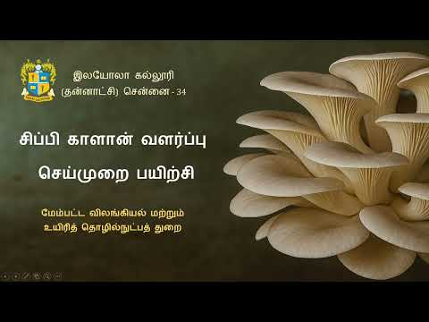 Outreach Programme — Chippi Kaalan Valarppu (Pleurotus Mushroom Cultivation)