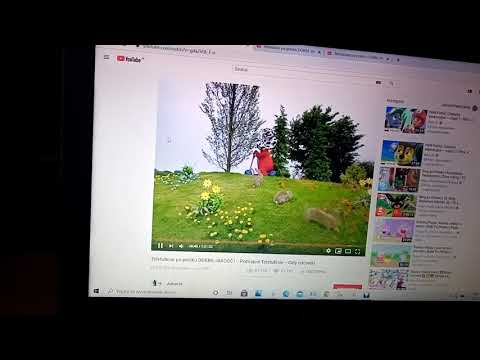 crashes:here comes the teletubbies