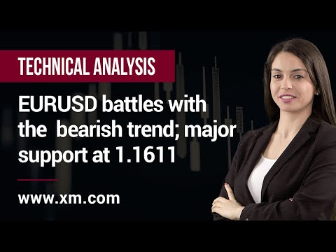 Technical Analysis: 02/11/2020 - EURUSD battles with the bearish trend; major support at 1.1611
