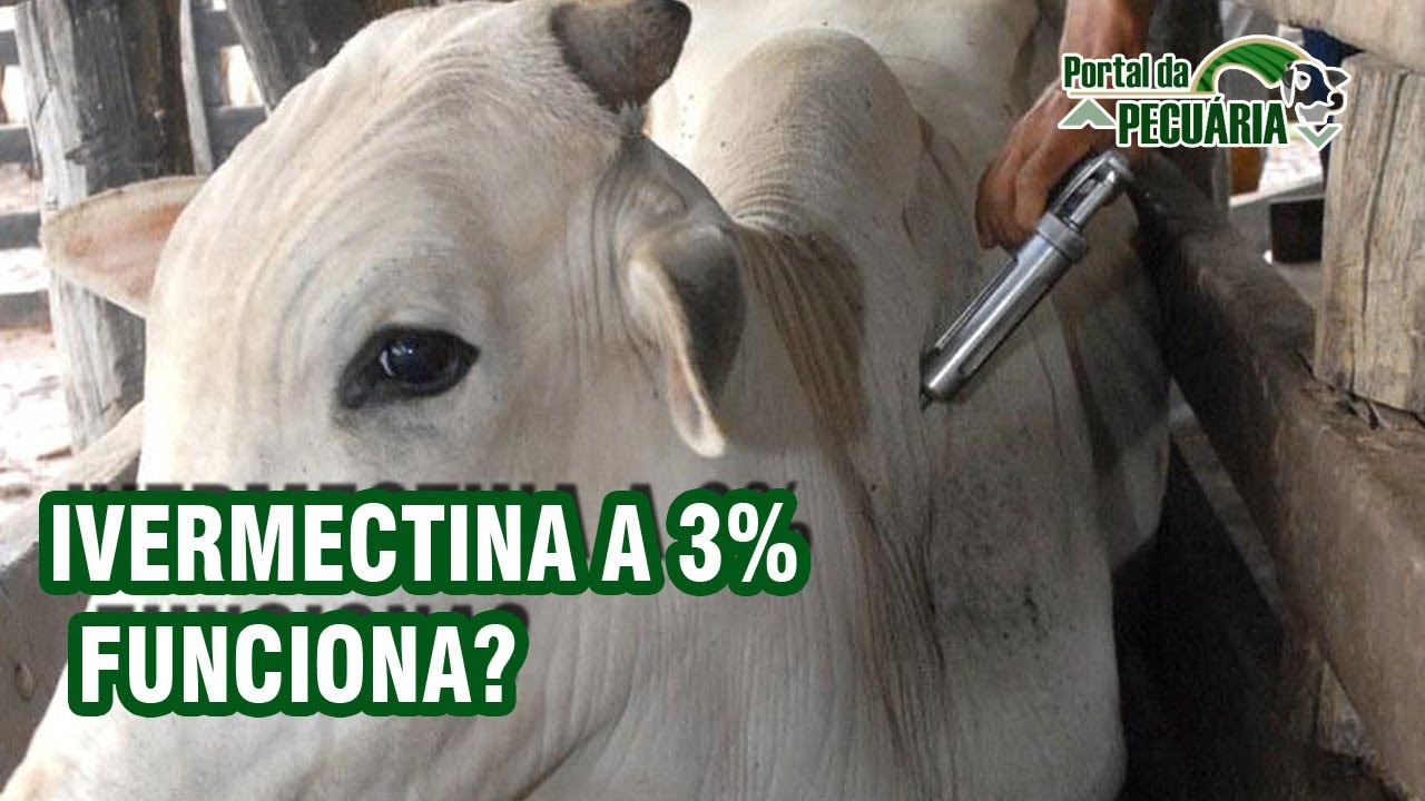 Ivermectina a 3% funciona?