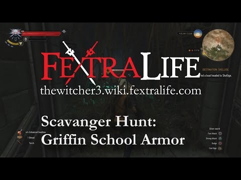 How to Get the Feline Armour in the Witcher 3 - AlcastHQ