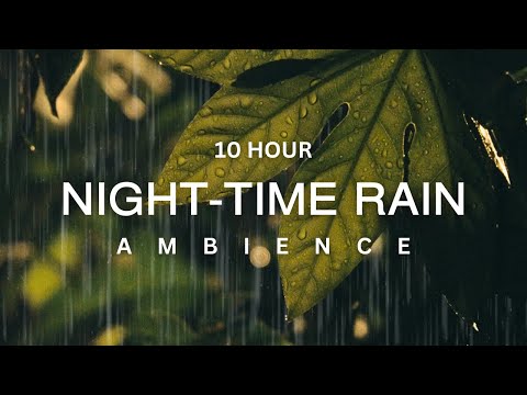 10 Hour | Gentle Summertime Night Rain Sounds for Deep Sleep and Calming Ambience