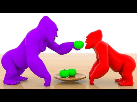 Animals Cartoons for Children | Learn Animals Name and Sound w Animals Babies Looking for Wrong Mom