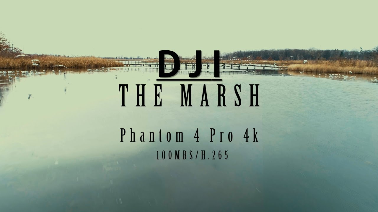 Квадрокоптер DJI Phantom 4 PRO