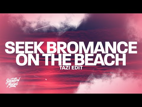 Seek Bromance On The Beach (TAZI Edit)
