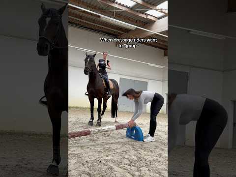 Still way too high… #equestrain #horse #short #viral