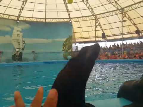 Family Fun Thailand by Petchara(7)