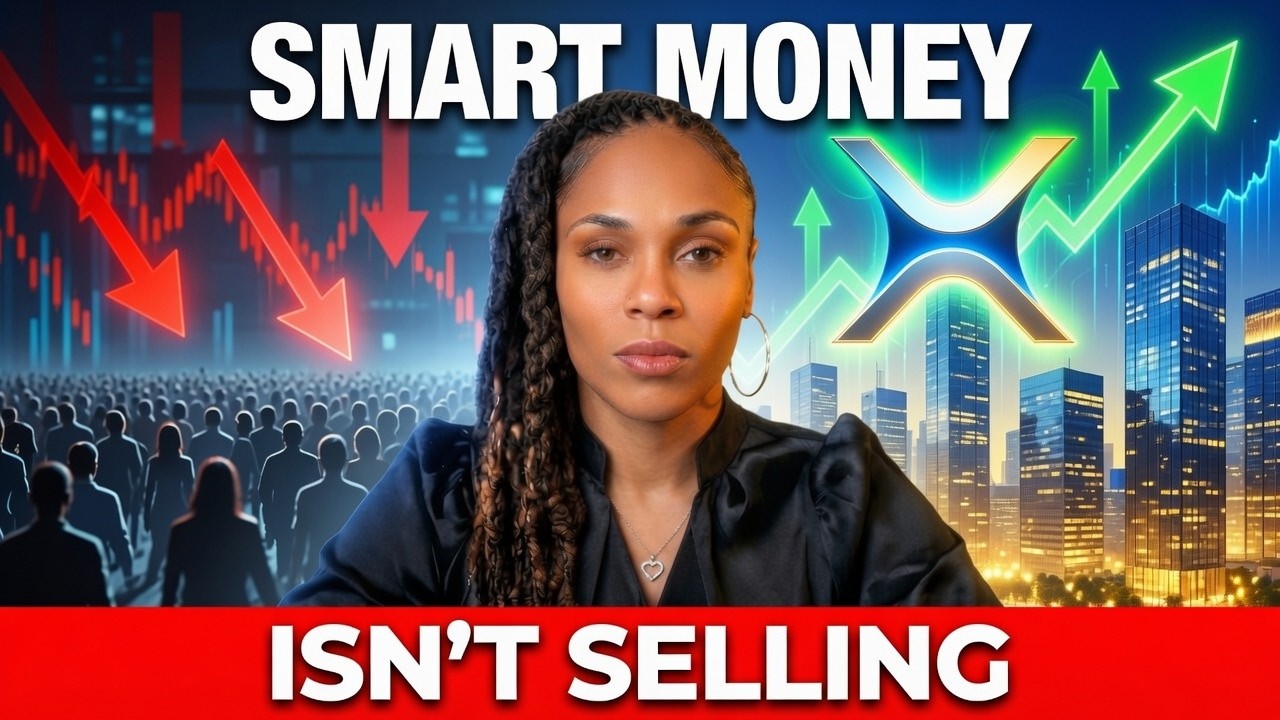 While Retail Panicked... 351 Institutions Revealed Their XRP PLAN