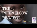 The Purple Cow Project 