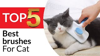 Top 5 Best Brushes for Cats of 2026