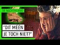 KAJ VAN DER VOORT AANGEVALLEN DOOR SLANG?! ?? | De Nachtmerrie | NPO Zapp
