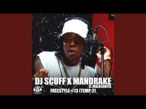 Freestyle #13 (Temp. 2)