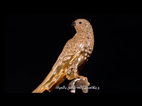 SHUMUKH - The Spirit Of Dubai | The Story of Baz