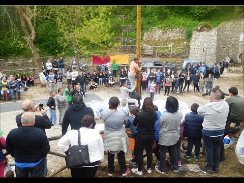 SPERONE. PASQUETTA SPERONESE 2017 (18.04.2017)