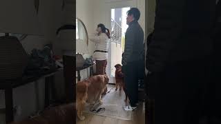 Morning Vlog From 6:50AM - 9:20AM #routine #vlog #dog