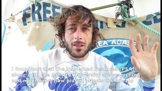 Il Mare e la Plastica [Francesco Sena]