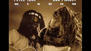 Peter Tosh - Maga Dog