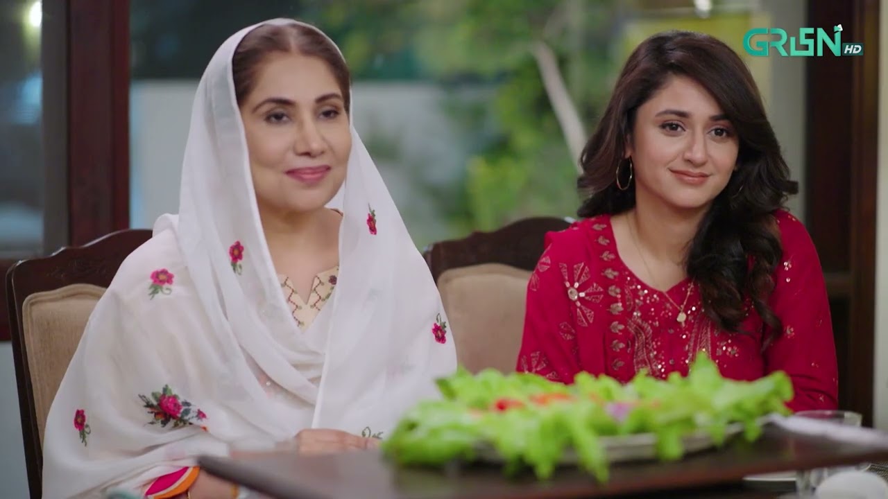 Aik Bhool Episode 81 | Best Moment 02 | Green TV Entertainment