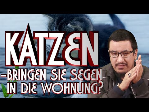KATZEN - BRINGEN SIE SEGEN IN DIE WOHNUNG? mit Abu Rumaisa in Braunschweig