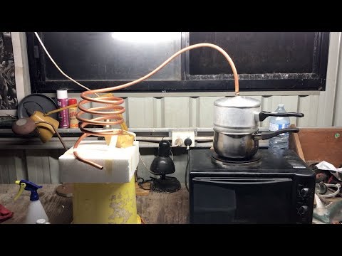 Marjoram leaves - Herb steam distillation