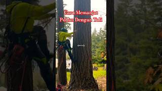 Download lagu Cara Memanjat Pohon Menggunakan Tali #shortvideo #youtubeshorts #feedshorts #youtube #shorts #fyp mp3