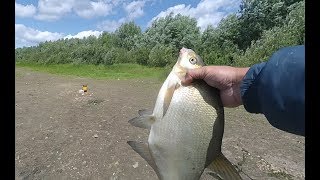 Рыбалка в рязанской области донка