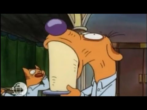 CatDog no context part 1!! (OOC)