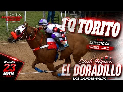 1°Q TORITO vs 2°DON DIEGO vs 3°ZAFIRO vs 4°FARAÓN Hípico El Doradillo Las Lajitas-Salta 23/08/2026
