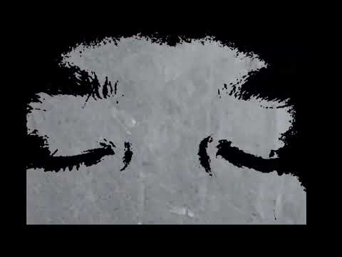 Die Reflexion - Adipati Jaya Prana
