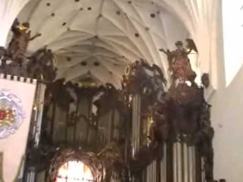 Der Dom zu Oliva