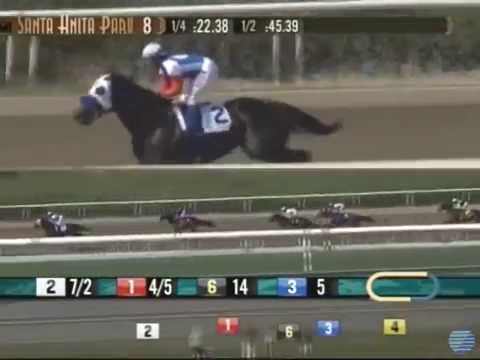 2014 Gold Cup at Santa Anita - Majestic Harbor