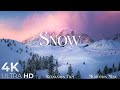 SNOW Winter Relaxation Film 4K Peaceful Relaxing Music Nature 4k Video Ultra HD