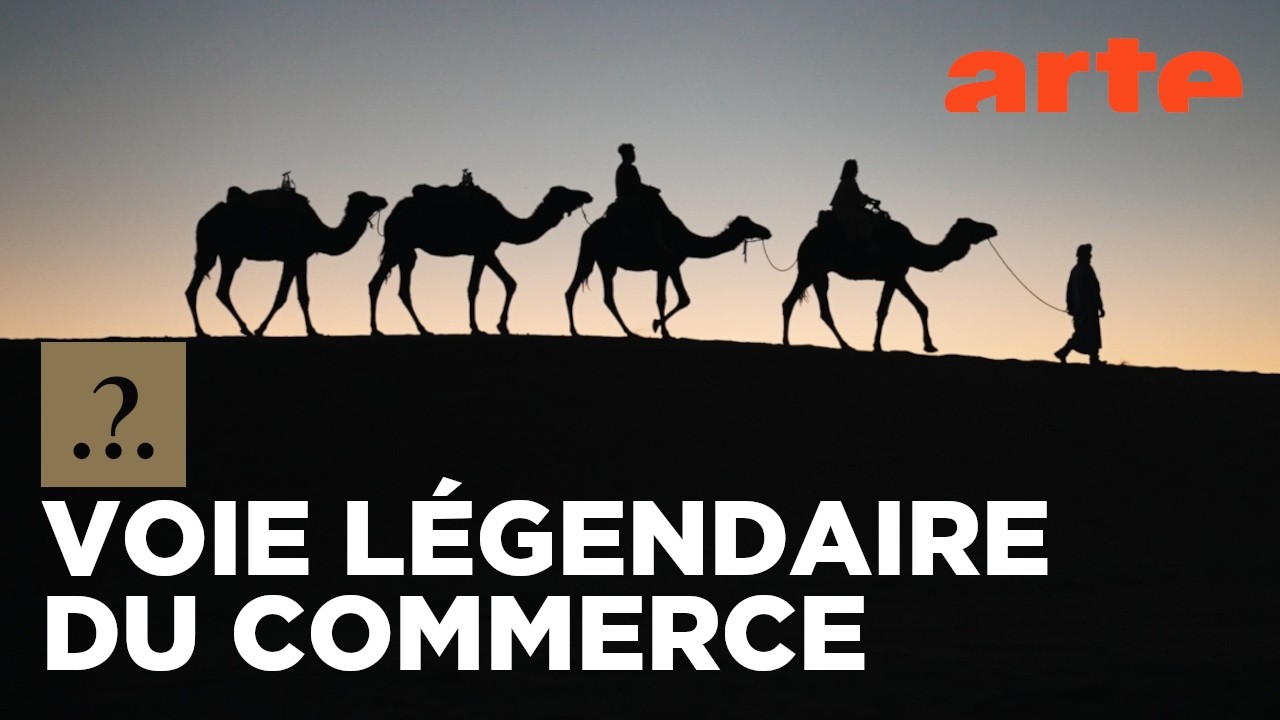 Est-il vrai que seule la soie transitait par la route de la soie ? | Est-il vrai que...? | ARTE