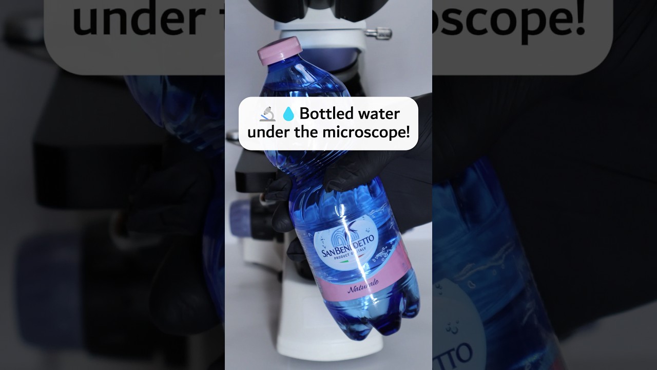 💧🔬 Bottled water under the microscope #microscope #underthemicroscope #undermicroscope